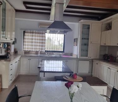 Thermi Villa | Villa in Trilofos-close to the beach