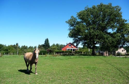 Gedinne House | Villa Irene