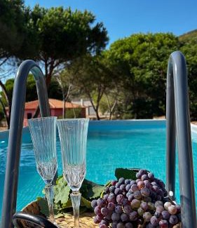 Viddalba House | Villa Jolies