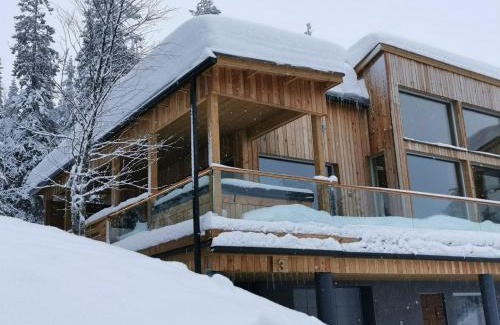 Syote Villa | Villa Kätkö