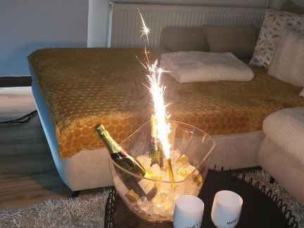 Sveti Martin pod Okicem Apartment | Villa Laurus