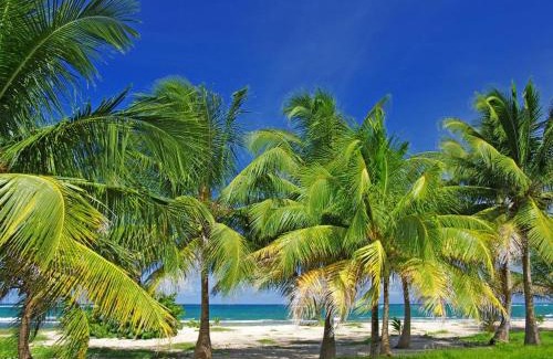 Morel Villa | VILLA LE BORD BLEU