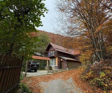 Brezovice Villa | Villa Lumi 2