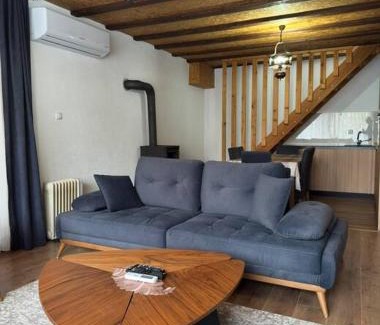 Brezovice Villa | Villa Lumi 2