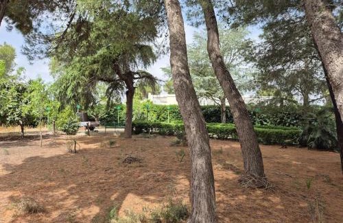 Galatina Villa | Villa Magnolia