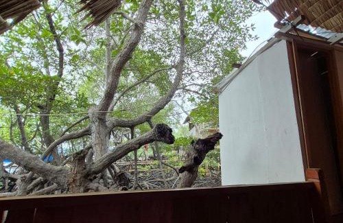 Rajabasa Villa | Villa Mangrove Pulau Pahawang