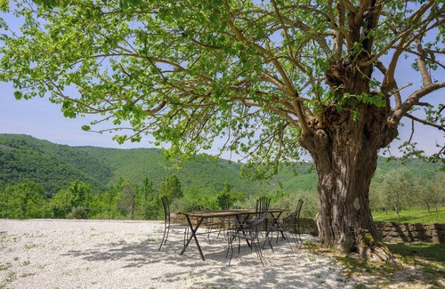 Brkac Villa | Villa Mare Motovun - a piece of paradise in the middle of nature