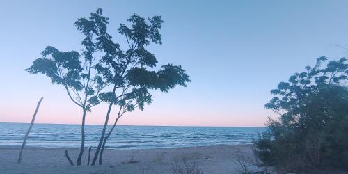 Fish Fish Apartment | VILLA METATRON U DOMA