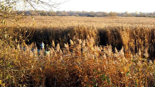 Nowy Dwor Mazowiecki House | Villa Modlin Airport