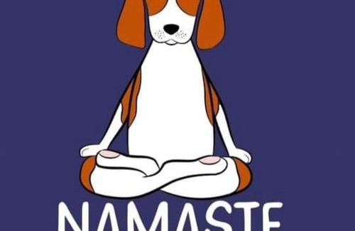 La Trinite-sur-Mer Villa | Villa Namasté SPA Hammam port & Mer