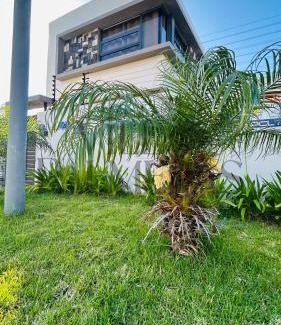 Vacoas-Phoenix House | Villa Palmeras - 4 Bedrooms AC Modern Luxury Villa