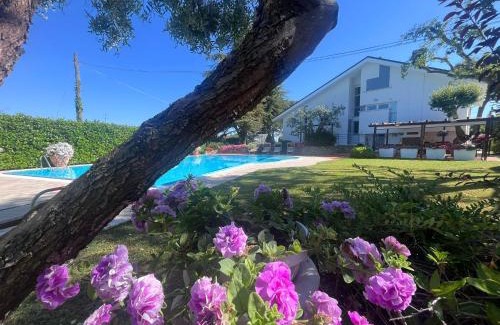 Santarcangelo di Romagna Villa | Villa Pronti Santarcangelo - Rimini