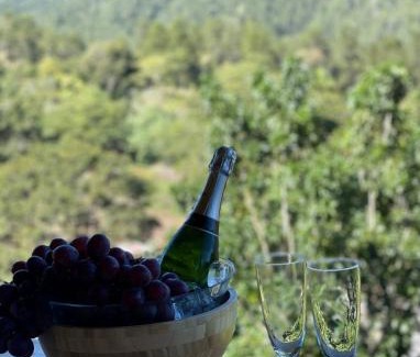 Rancho Arriba Villa | Villa Rancho Arriba