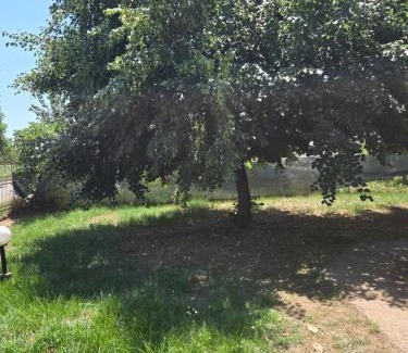 Fiki Apartment | Villa Residenz Sofia1