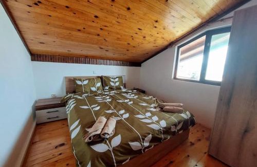 Ljubanista House | Villa Stone Tree - Ljubanista