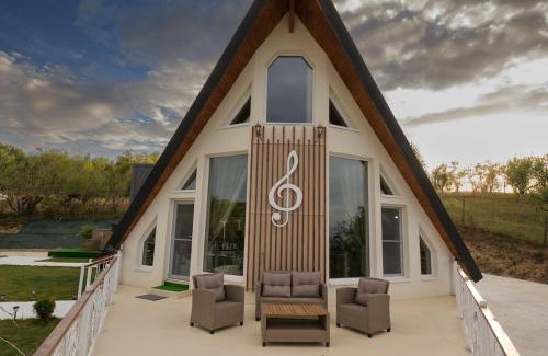 Sighetu Marmatiei Villa | Villa Stradivaryus