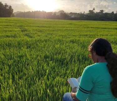 Dickwella Villa | Villa Tamarind Shade - Talalla