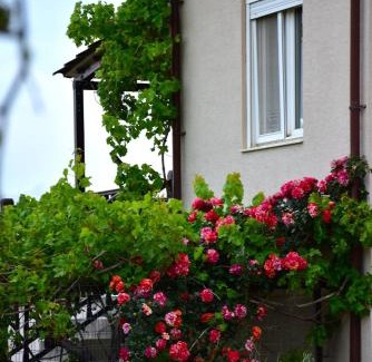 Kamariotissa Villa | Villa Thanos