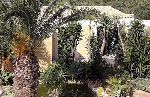 Arini Villa | Villa two kilometers from kitesurfing schools