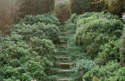 Formello Villa | Villa w/beautiful garden 30 min drive from the center of Rome