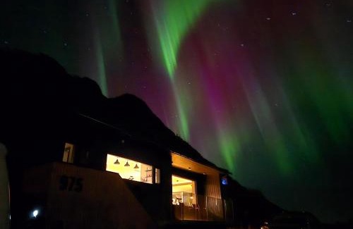 Bostad Villa | Villa Walter Lofoten with SAUNA