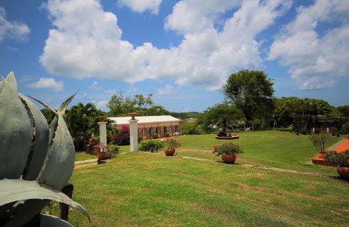 Sainte-Anne Villa | Villa with swimming pool and garden view MQSA20