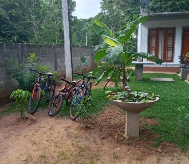 Polonnaruwa House | Villa77