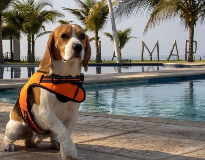 Iztapa Villa | Villas La Mar