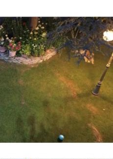 Capolona Bed & Breakfast | Villaspino