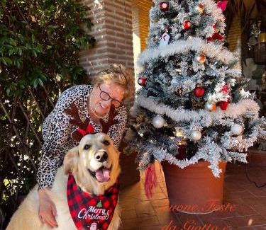 Capolona Bed & Breakfast | Villaspino