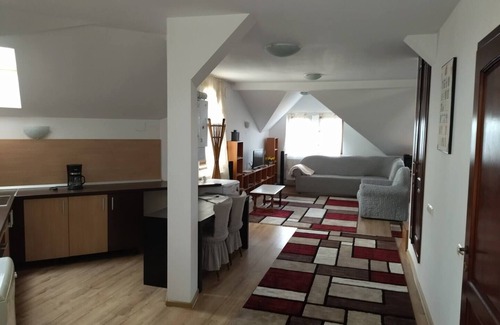 Iasi Villa | Villaweb Penthouse 2rooms,5min drive city &Airport