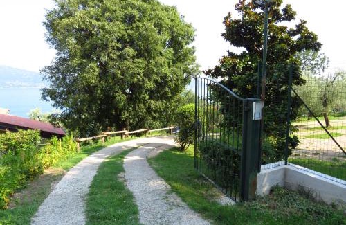 Pulciano Villa | Ville in uliveto vista lago - VILLA CASALIVA