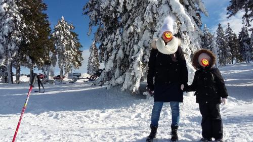 Varsag House | Vilmos Vendégház