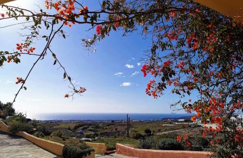 Megalochori Apartment | Vineyards Hill Villa