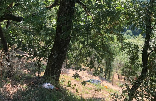 Masero Apartment | vino passito