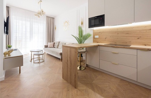 Srodmiescie Apartment | Virgin River Deluxe Apartment