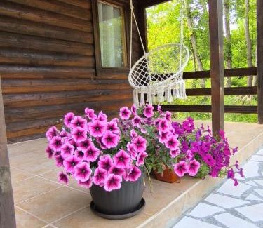 Virpazar House | Virpazar Raj kod kumova