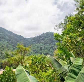 Canaan Ski Chalet | Vista Canaan Cabaña de montaña