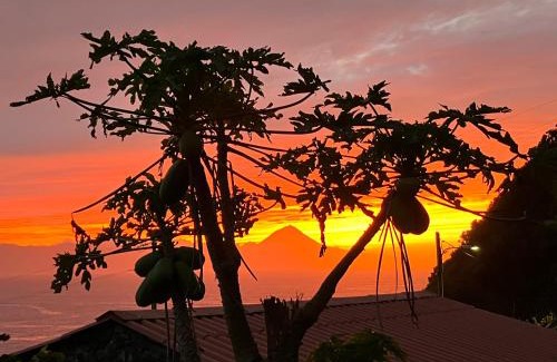 Faja dos Vimes House | Vistalinda Farmhouse