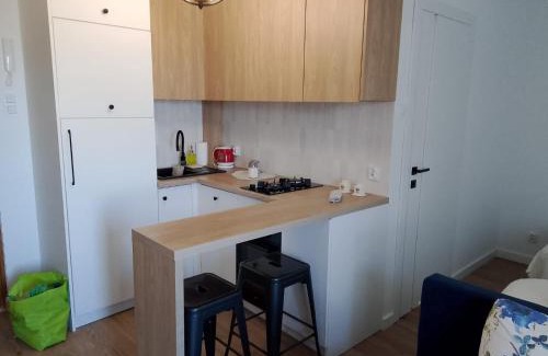 Plock Apartment | Vistula Home