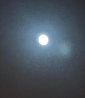 Terra Preta House | Viver é Mágico