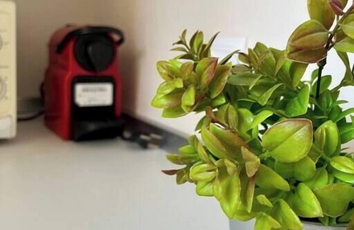 Cadalso de los Vidrios Apartment | Vivienda Equipada en Cadalso de los Vidrios