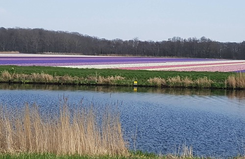 Medemblik House | "Vliet Hus" with own boat landing stage