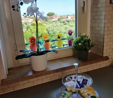 Querceta Apartment | Voglia di mare Versilia