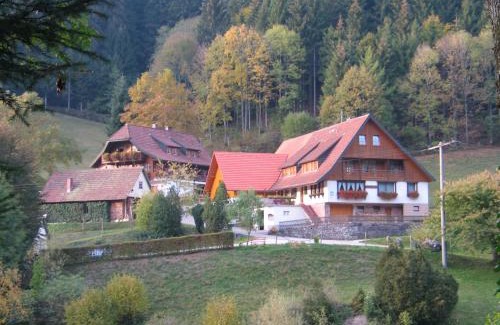 Bad Rippoldsau-Schapbach Apartment | Vogtshof