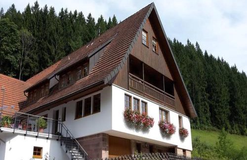 Bad Rippoldsau-Schapbach Apartment | Vogtshof