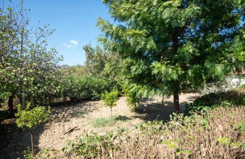 Ayios Kirikos House | Vossos Cottage House - Visit all Zakynthos from one place