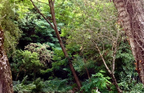 Casalduni House | Vrbo Property