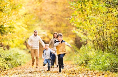 Sorges-et-Ligueux-en-Perigord Apartment | VVF Périgord Sorges-en-Périgord *** - 4 Room Duplex Gite 8 People 1 baby