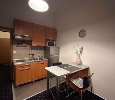 Vysehrad Apartment | Vysehrad studio near the Congress Centre